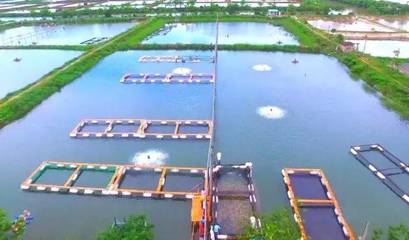 喜訊！斗門8家企業(yè)榮登省級(jí)水產(chǎn)養(yǎng)殖榜單，實(shí)力彰顯產(chǎn)業(yè)新高度